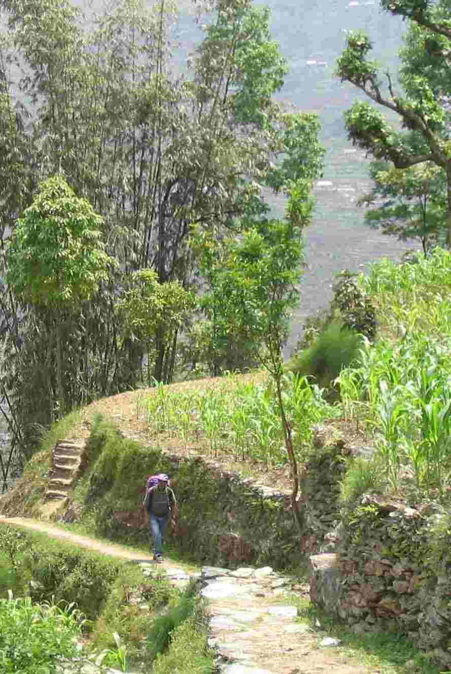 Trail near Khunjari