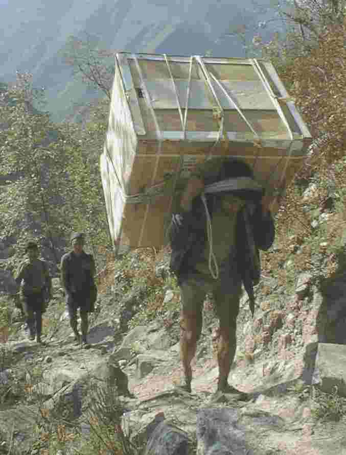 Carrying fridge