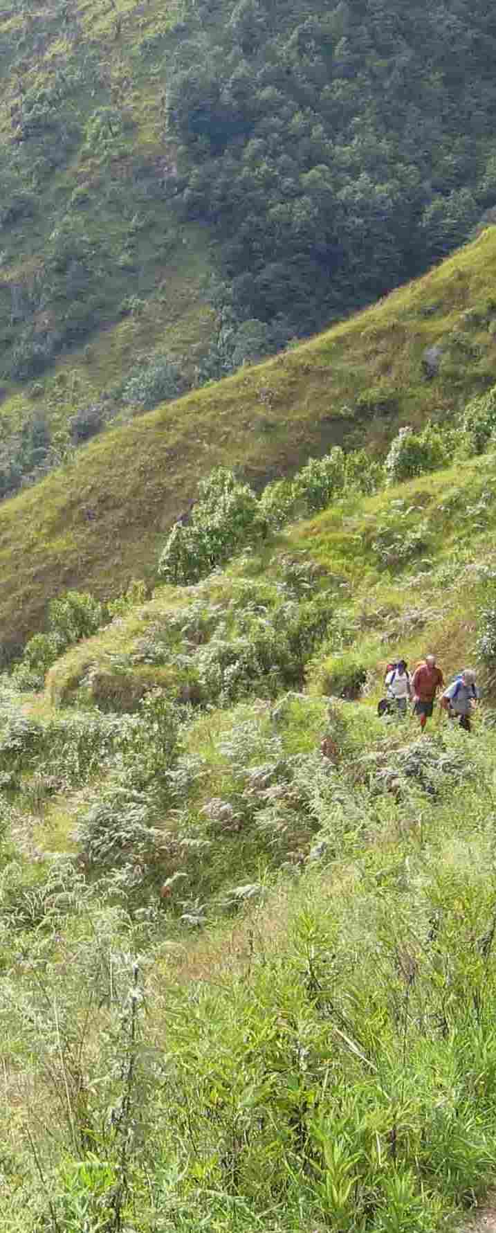 Unforested hillside