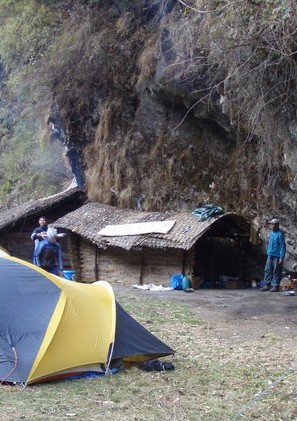 JungleCamp